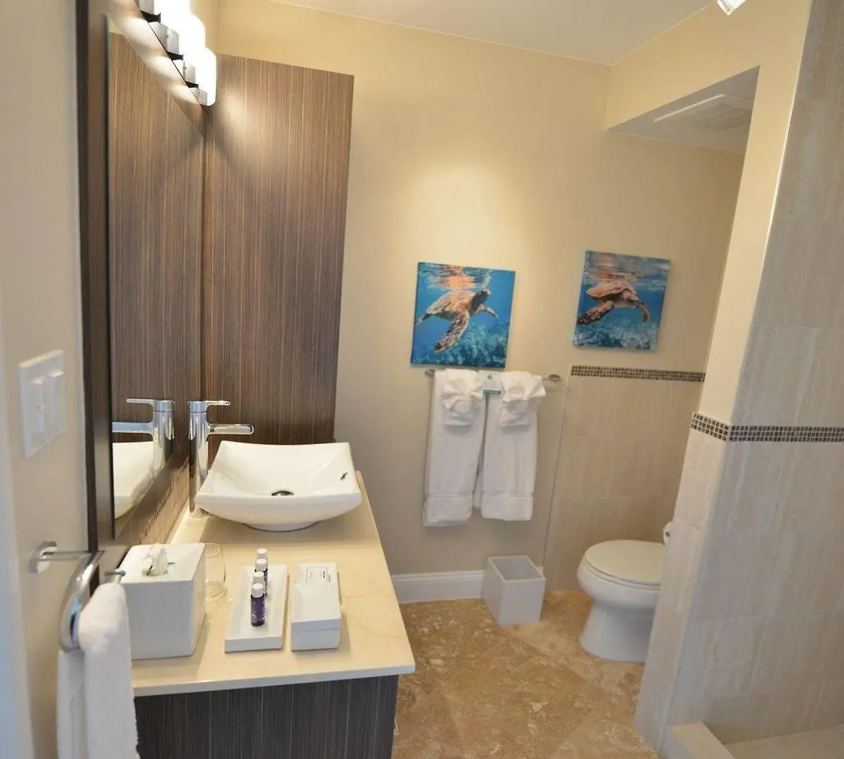 Hotel Salterra, A Luxury Collection Resort & Spa, Turks & Caicos 